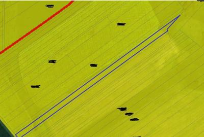 Teren extravilan arabil Ardeoani, ID: R1983077 - 1