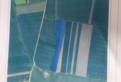 Teren agricol extravilan de 30000 mp, în Ianova - 1