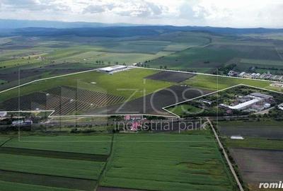 Teren industrial de vanzare intravilan, PUZ, utilita?i, drum asfaltat - 7