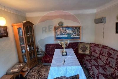 Casa / Vila de vanzare/Ciuslea - 3