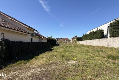 Spațiu comercial, în Dumbrăvița - 3