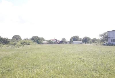 Teren de 2557 mp, în Iazu - 3