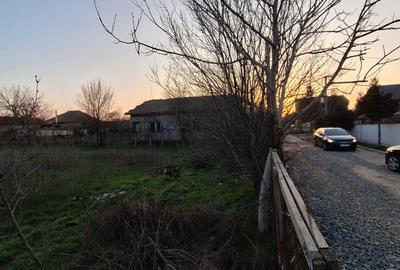 Teren de 771 mp, în Valea Dacilor - 5
