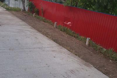 Casă cu 3 camere în Ireasca - 4