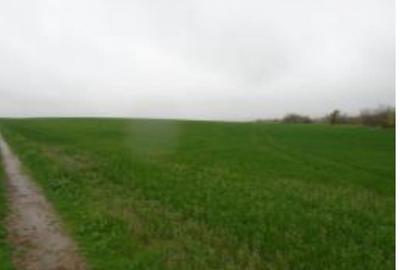 Teren intravilan arabil, situat in Com. Valea Mare, jud. Olt - 7