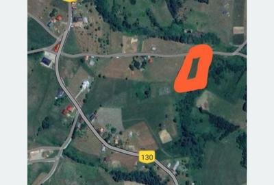 Spațiu comercial, în Vișagu - 5