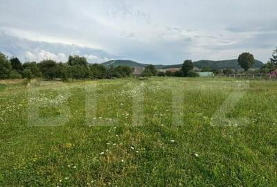 Teren Intravilan UNIREA 972mp - 2