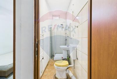 Casa cu 8 camere si 300mp curte, de inchiriat in zona Bd. Gloriei - 20