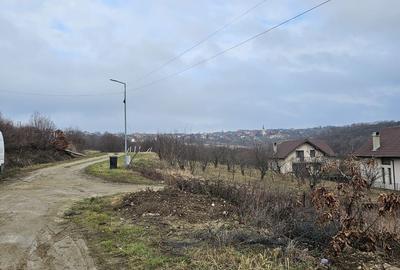 Teren Construcții intravilan de 900 mp, în Săldăbagiu de Munte - 3