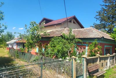 Casă cu 4 camere în Băneasa