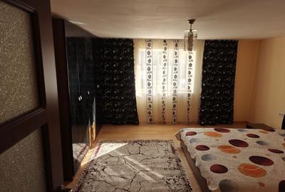 Casă cu 3 camere cu Teren 3500 Mp în Satu Mare - 5