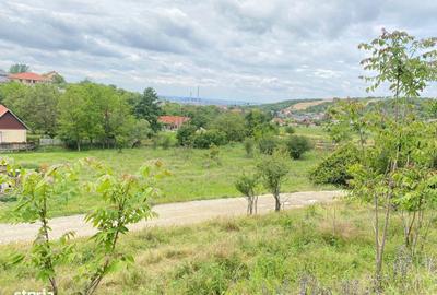 Spațiu comercial, în Paleu - 3