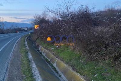 Teren intravilan 4836 mp Mehadia cu Fs la E70 - 5