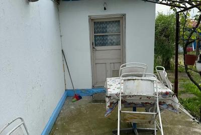 Casă cu 3 camere cu Teren 1300 Mp în Pecineaga - 4