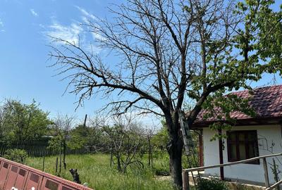Casă cu 5 camere cu Teren 1422 Mp în Alexeni - 15