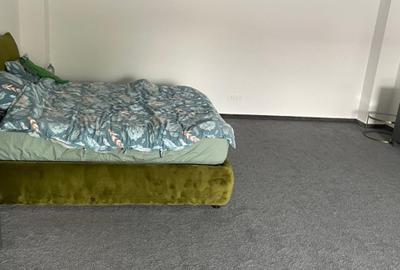 SPATIU DE INCHIRIAT TIMURI NOI-TINERETULUI SPATIU DE INCHIRIAT TIMURI NOI-TINERETULUI - 7