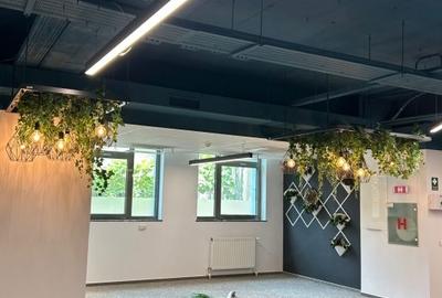 Birou, de 259 mp, în Romană - 3