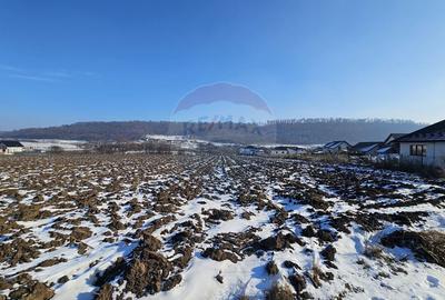 Teren Construcții intravilan de 2200 mp, în Periferie - 4