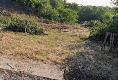 Teren de 1300 mp, în Gura Văii - 4