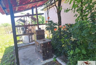 Casa de vanzare in Razboieni - Cetate - 8