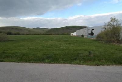 Teren de 4653 mp, în Căpușu Mare - 6