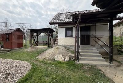 Casă cu 3 camere cu Teren 2000 Mp în Prodănești - 9