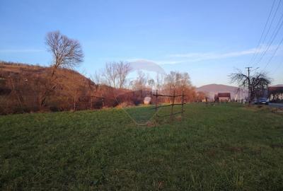 Teren Construcții intravilan de 2619 mp, în Bârsana - 1