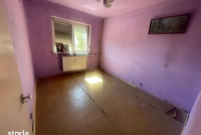 Apartament cu 3 camere decomandat în Lăpuș Argeș - 4