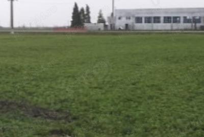 Spațiu comercial, în Cărpiniș - 47