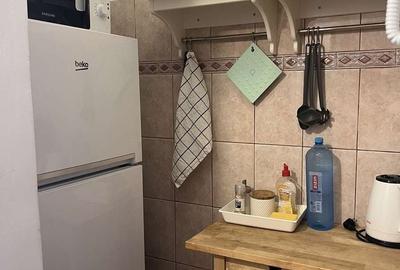 Apartament cu 1 camere, mobilat în Cișmigiu