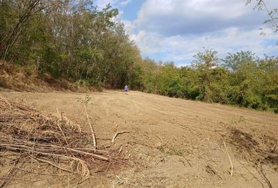 Spațiu comercial, în Viișoara - 7