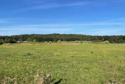 Teren de 5400 mp, în Sânpetru