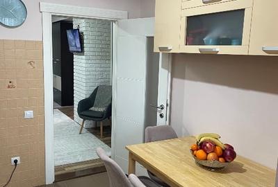 Apartament cu 2 camere decomandat, mobilat în George Enescu - 8