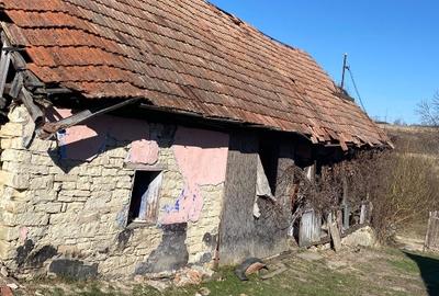 Teren Construcții intravilan de 2100 mp, în Feiurdeni - 13