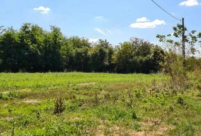 Casă cu 5 camere cu Teren 794 Mp în Livedea - 3