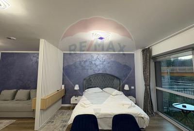 Studio luminos,55 mp, 2022 + parcare, Sinaia, introdus regim hotelier - 8