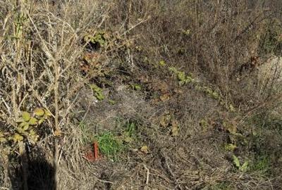 Ideal Complex Vile sau Duplexuri. - 3