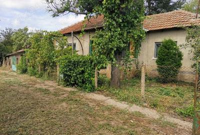 Casa de vanzare in comuna Bogdana - 5