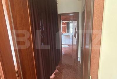 Casă cu 6 camere cu Teren 3982 Mp în Remetea Mare - 15