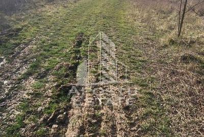 Spațiu comercial, în Almaș - 4