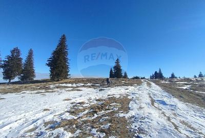 Teren agricol extravilan de 5609 mp, în Gura Râului - 6