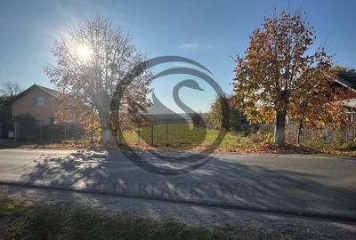 Teren de 12650 mp, în Ghirdoveni - 3