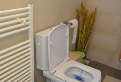 Casa ta la munte -Busteni Casa ta la munte -Busteni - 16