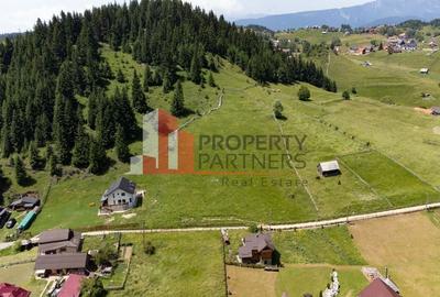 Teren Fundatica intravilan 4500 mp - 4