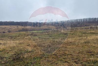 Teren intravilan de vanzare - zona Donath-Floresti, PUZ aprobat. - 2