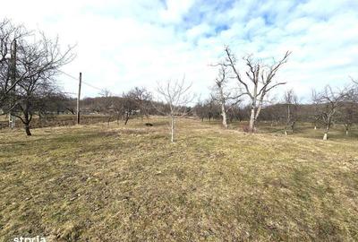 Teren de 3800 mp, în Mirșid - 4