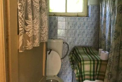 Casă cu 3 camere în Voinești - 4