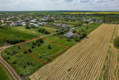 FRUMUSANI - POSTAVARI, TEREN 1500 MP, FRONT 30 M ! - 10