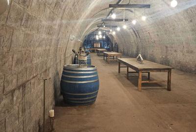 Spațiu comercial, de 3,950 mp, în Păuliș - 1