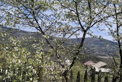 Casa de inchiriat Breaza de Sus in regim hotelier - 6